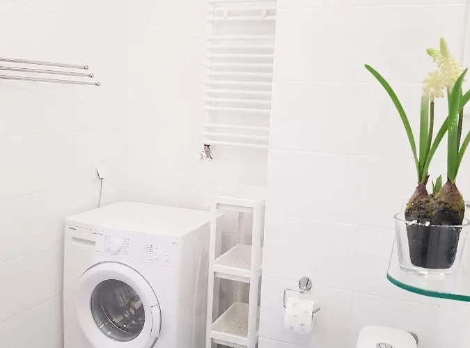 Apartamento With 6 Single Beds